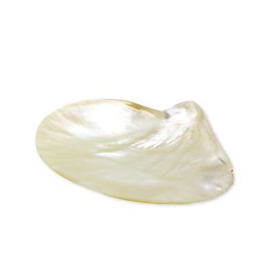Shell soap dish Ø 10-13cm 