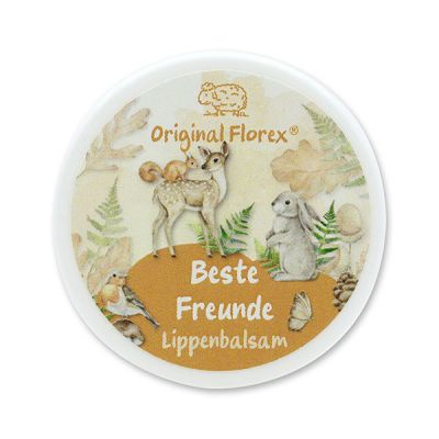 Lip balm 10ml "Beste Freunde", Fruit dream 